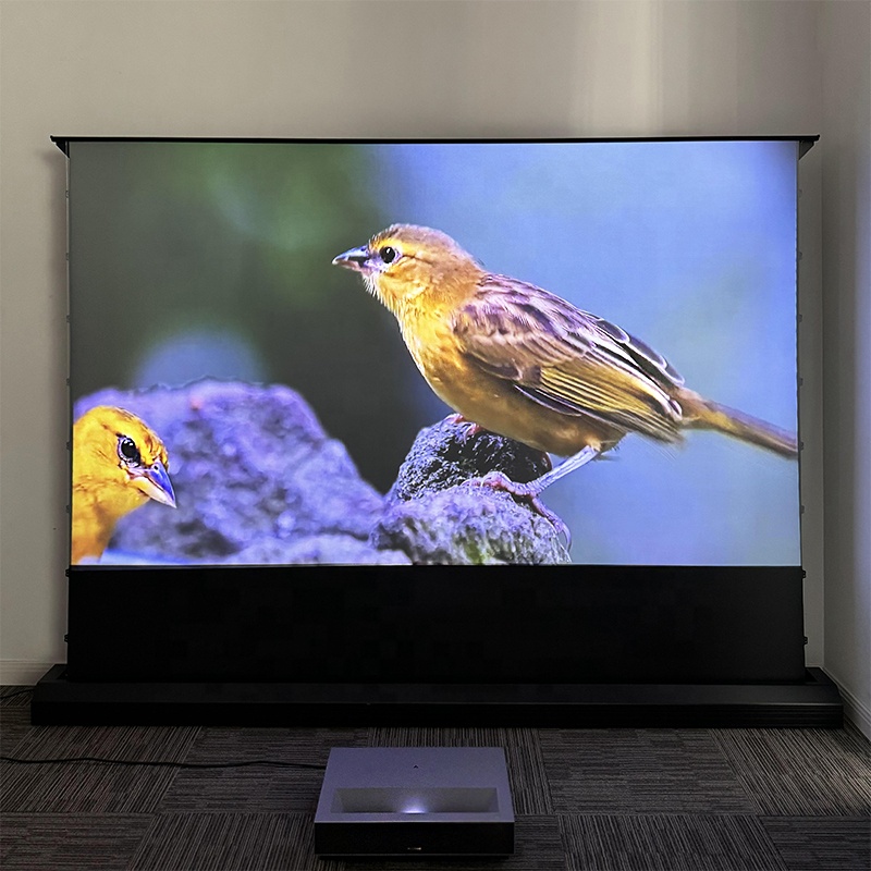 Alr Ambient Light Rejecting Projector Screen - Schermo di proiezione motorizzato da 120