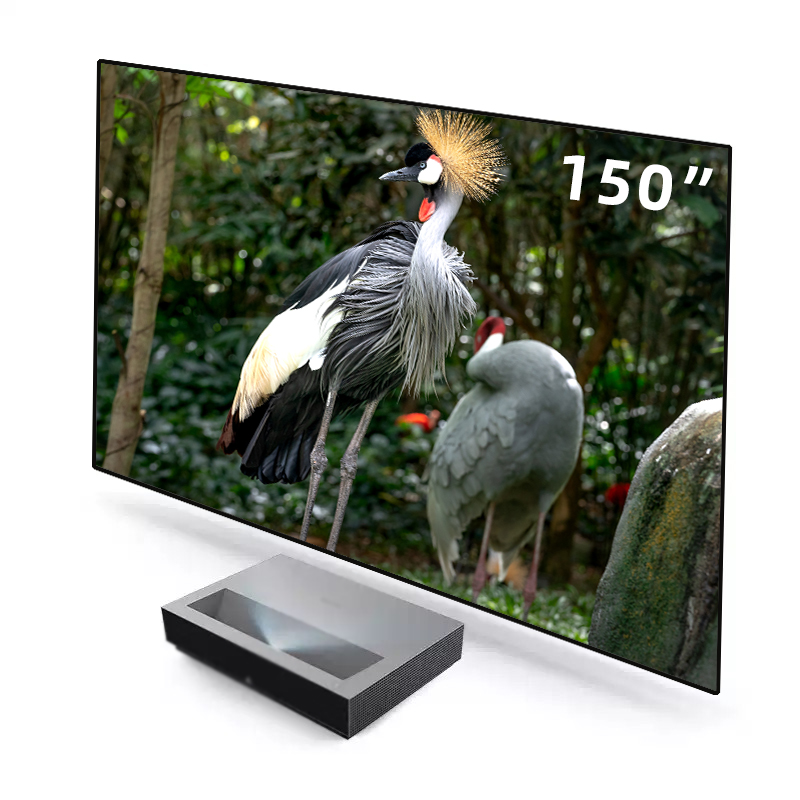 2026 HOT ALR PET Crystal Black - Alr Ambient Light Rejecting Projector Screen recensione e prezzo