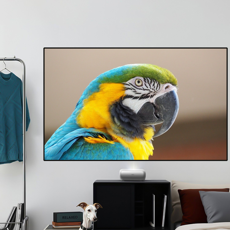 2026 HOT ALR PET Crystal Black - Alr Ambient Light Rejecting Projector Screen recensione e prezzo