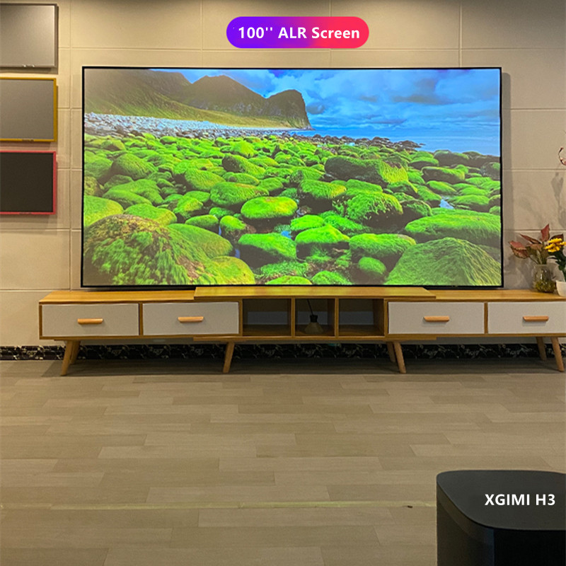 Schermo per proiettore a corni - Alr Ambient Light Rejecting Projector Screen recensione e prezzo