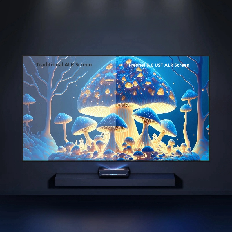 Schermo Ottico Fresnel ALR per - Alr Ambient Light Rejecting Projector Screen recensione e prezzo