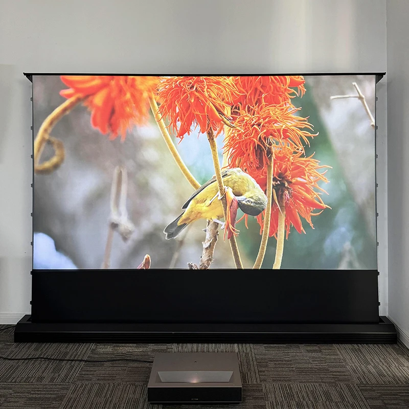 Schermo per proiettore motoriz - Projector Screen 120 Inch Motorized Ambient recensione e prezzo