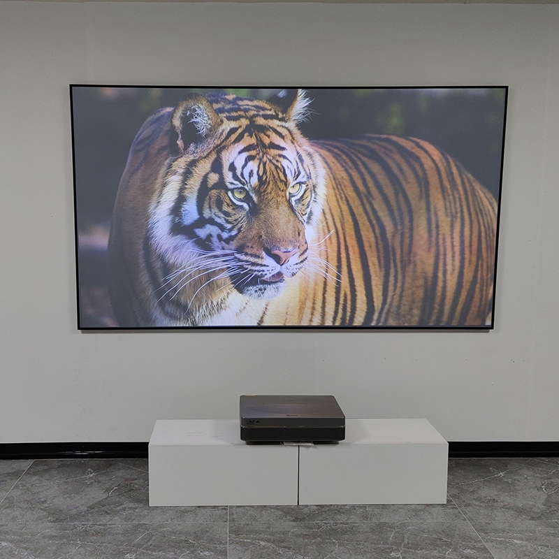 Schermo di Proiezione VisualMr - Alr Ambient Light Rejecting Projector Screen recensione e prezzo