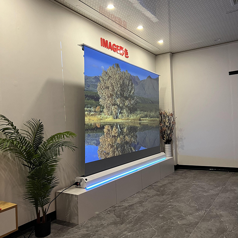 VisualMr Schermo di proiezione - Alr Ambient Light Rejecting Projector Screen recensione e prezzo