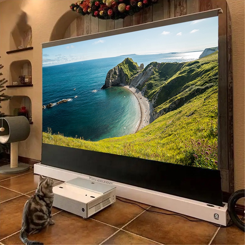 Schermo di proiezione motorizz - Alr Ambient Light Rejecting Projector Screen recensione e prezzo
